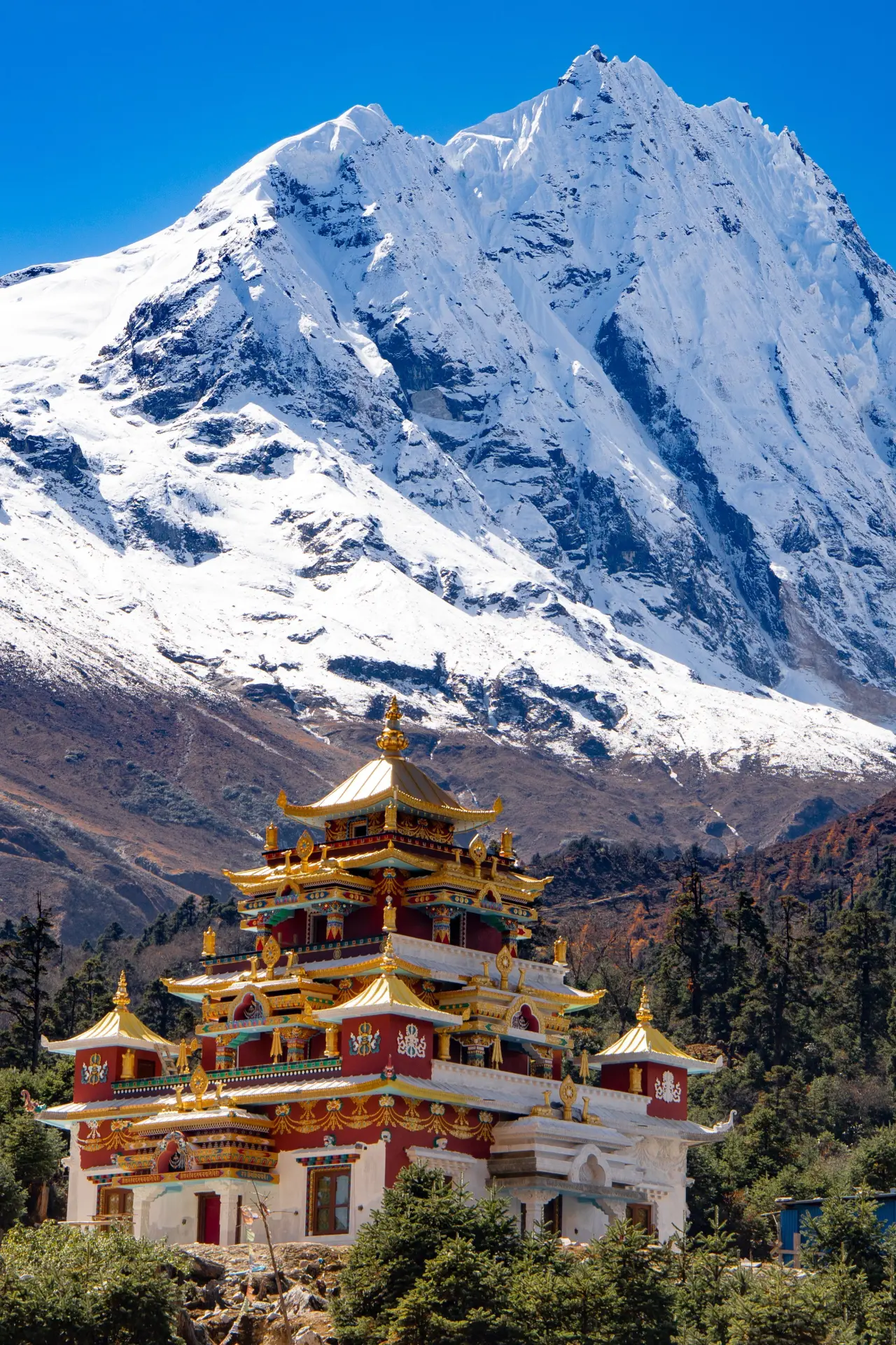 Himalayan Sanctuary: The 14-Day Annapurna Base Camp Trek