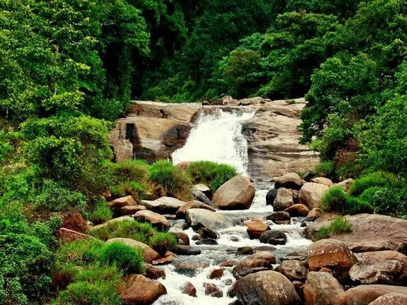 Emerald Escapes: The Valparai & Athirappilly Waterfall Expedition