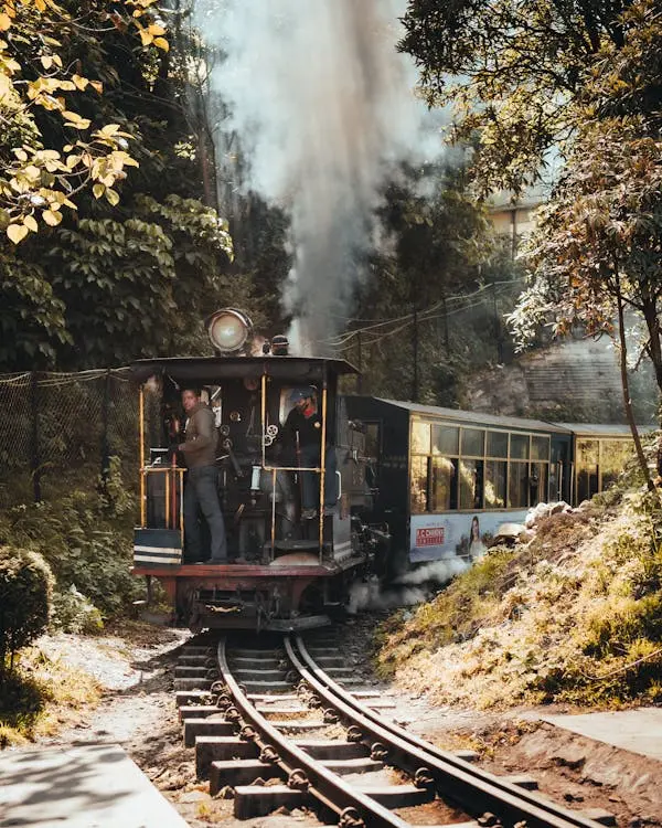 Tea Gardens, Ropeway & Japanese Culture Circuit