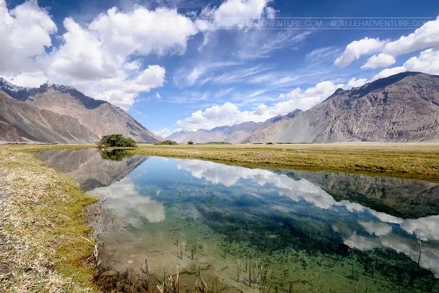 Nubra Valley (Desert in the Mountains)