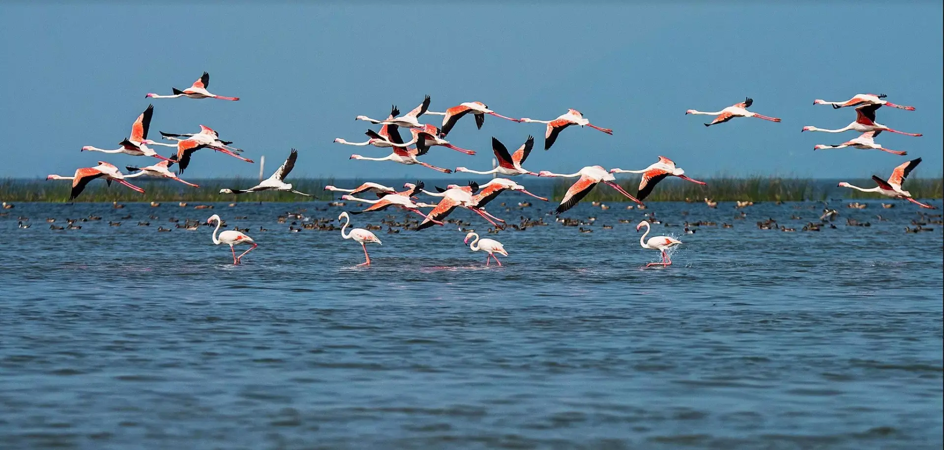 Chilika Lake – Asia’s Largest Brackish Water Lagoon