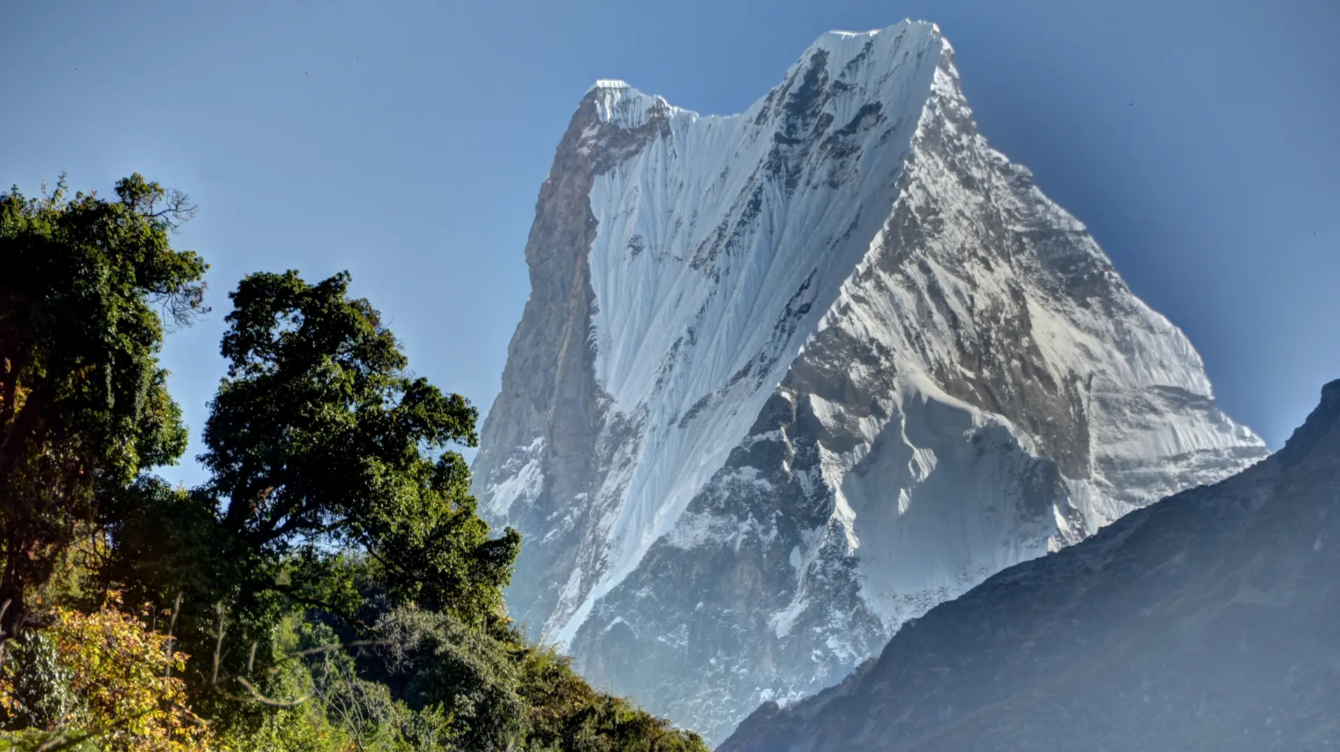 Deurali to Machapuchare Base Camp (3,700 m)