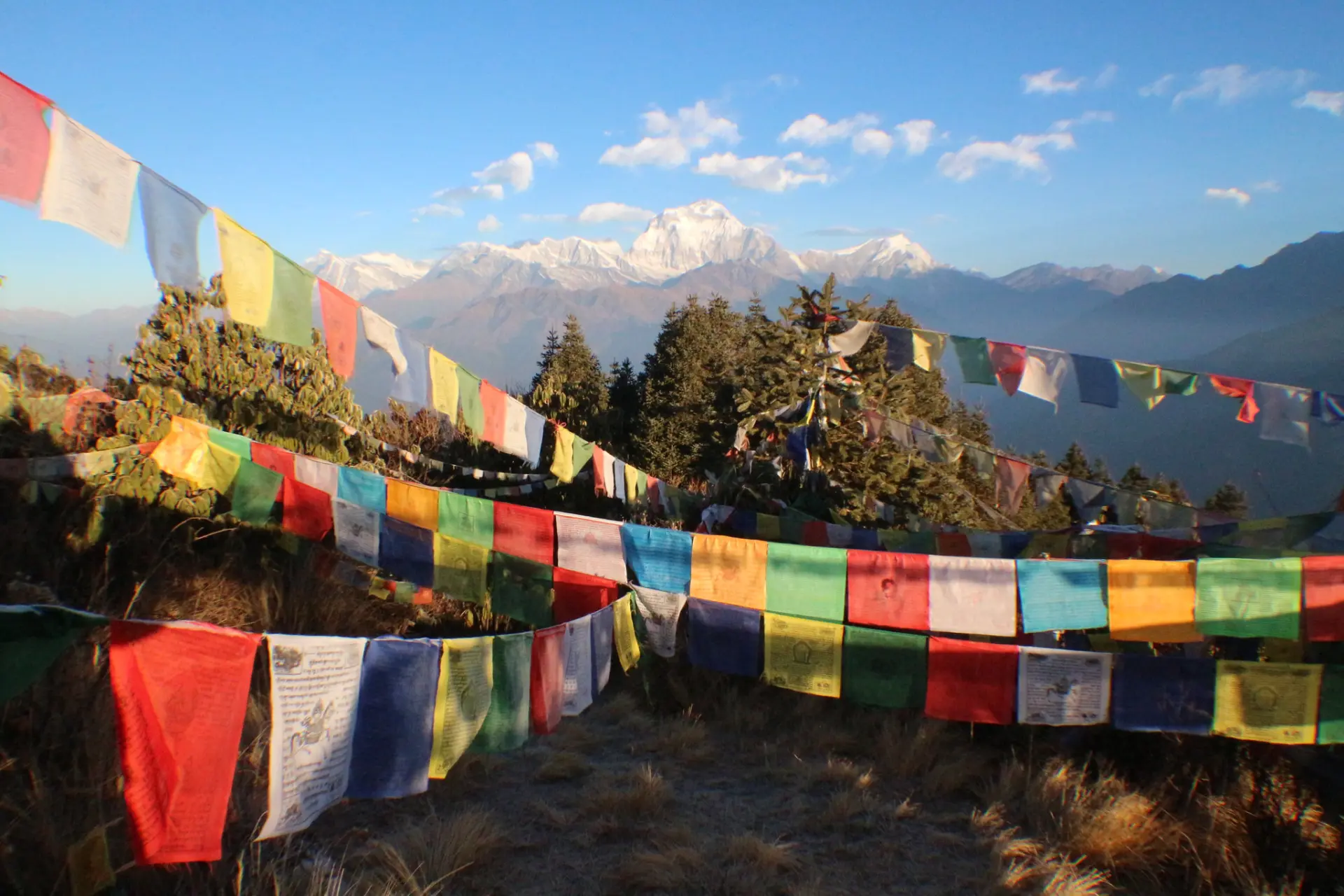 Jhinu Danda → Nayapul → Pokhara