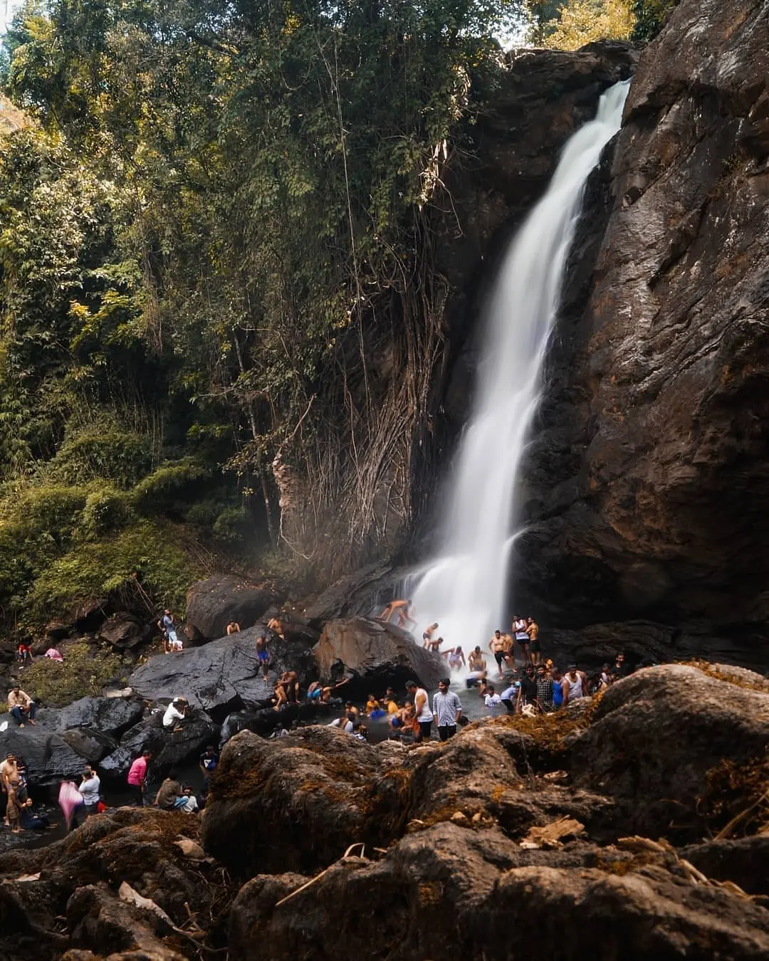 Wayanad Full-Day Sightseeing