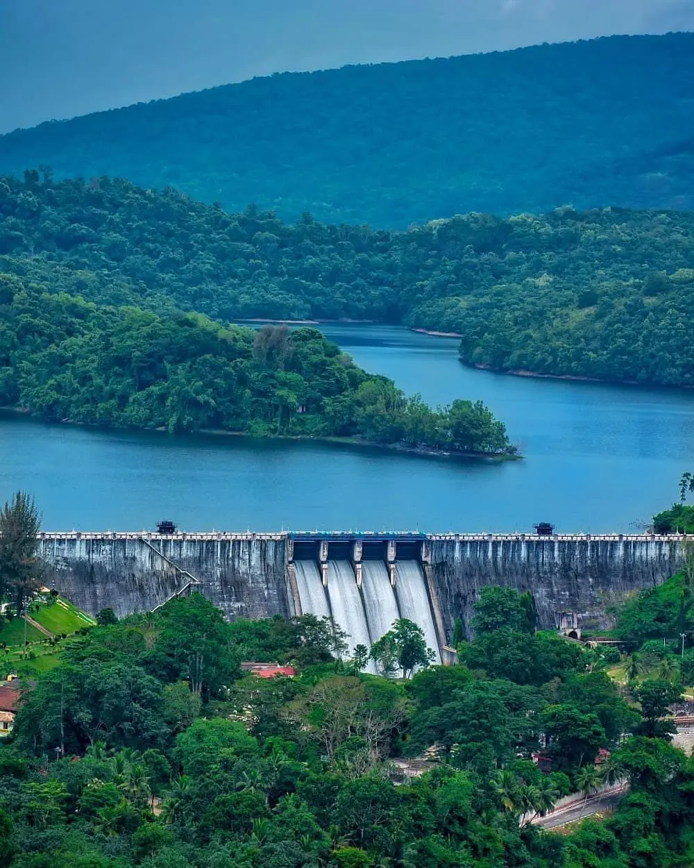 Valparai Full-Day Sightseeing (Local 40-50 km)