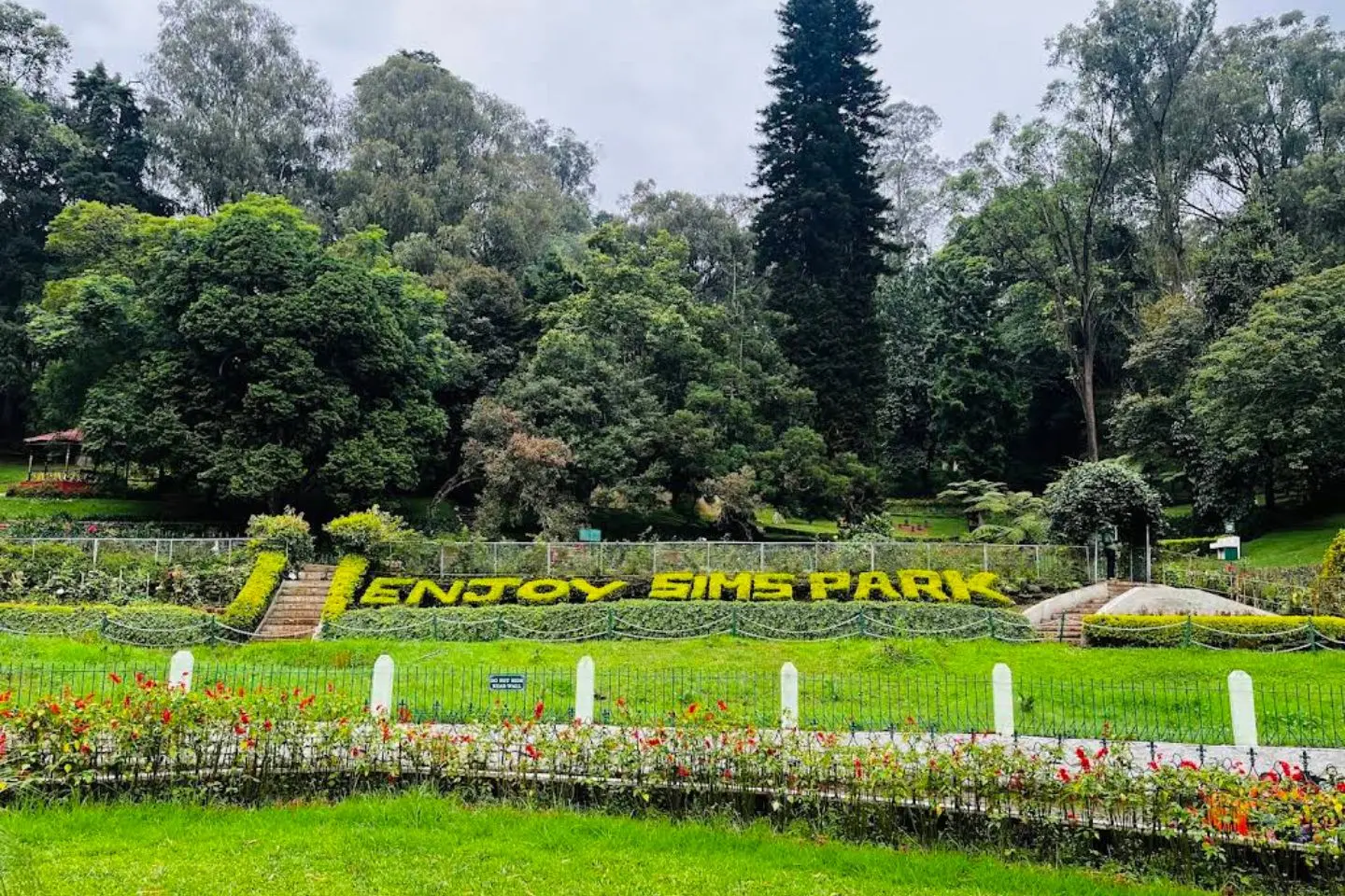 Ooty → Coonoor