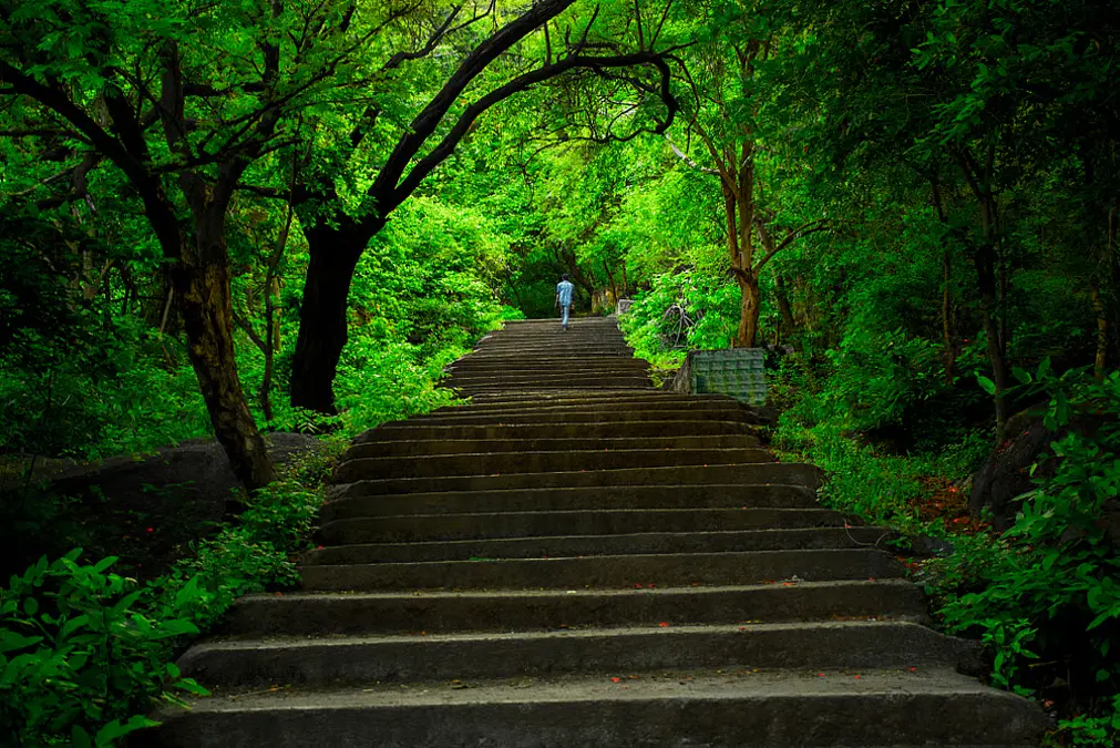Kolli Hills → Yelagiri