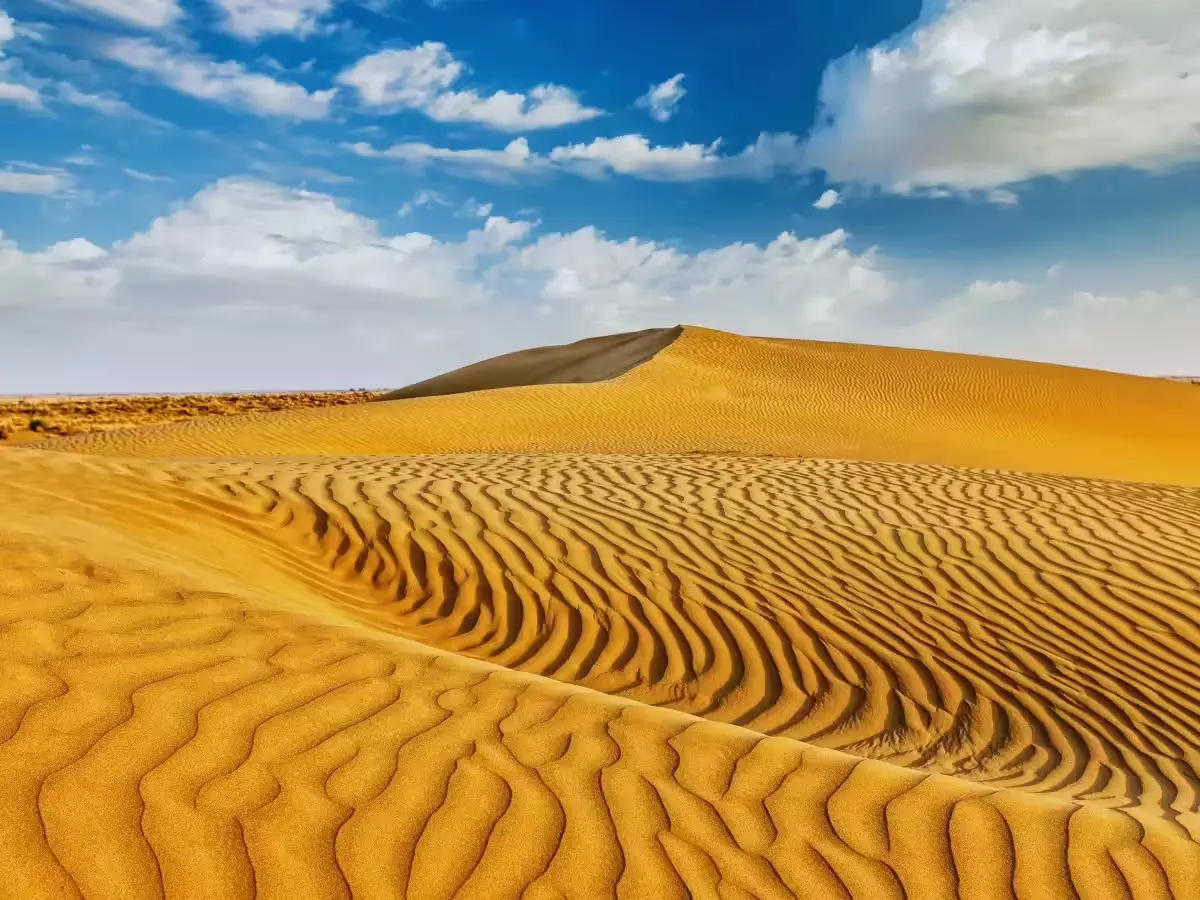 Journey to the Thar Desert (Jaipur → Pushkar → Jaisalmer)
