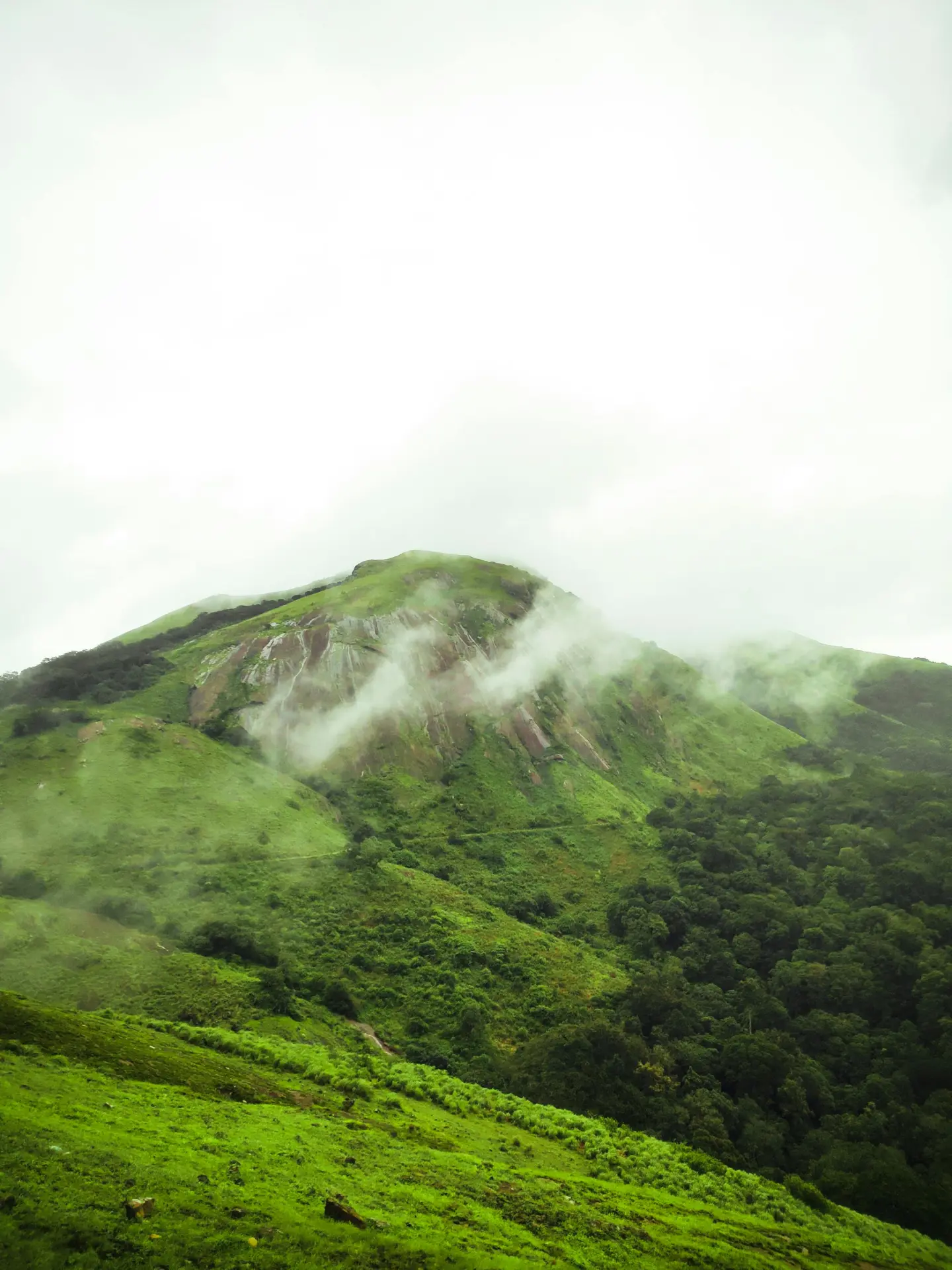 Chikmagalur Full-Day Sightseeing