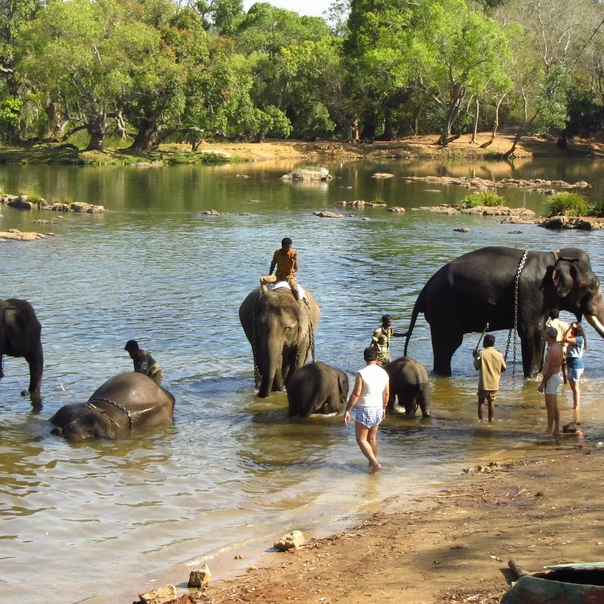 Coorg - Kushalnagar Sightseeing