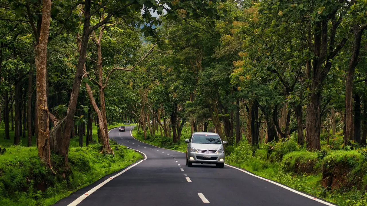 Mysore → Ooty via Bandipur
