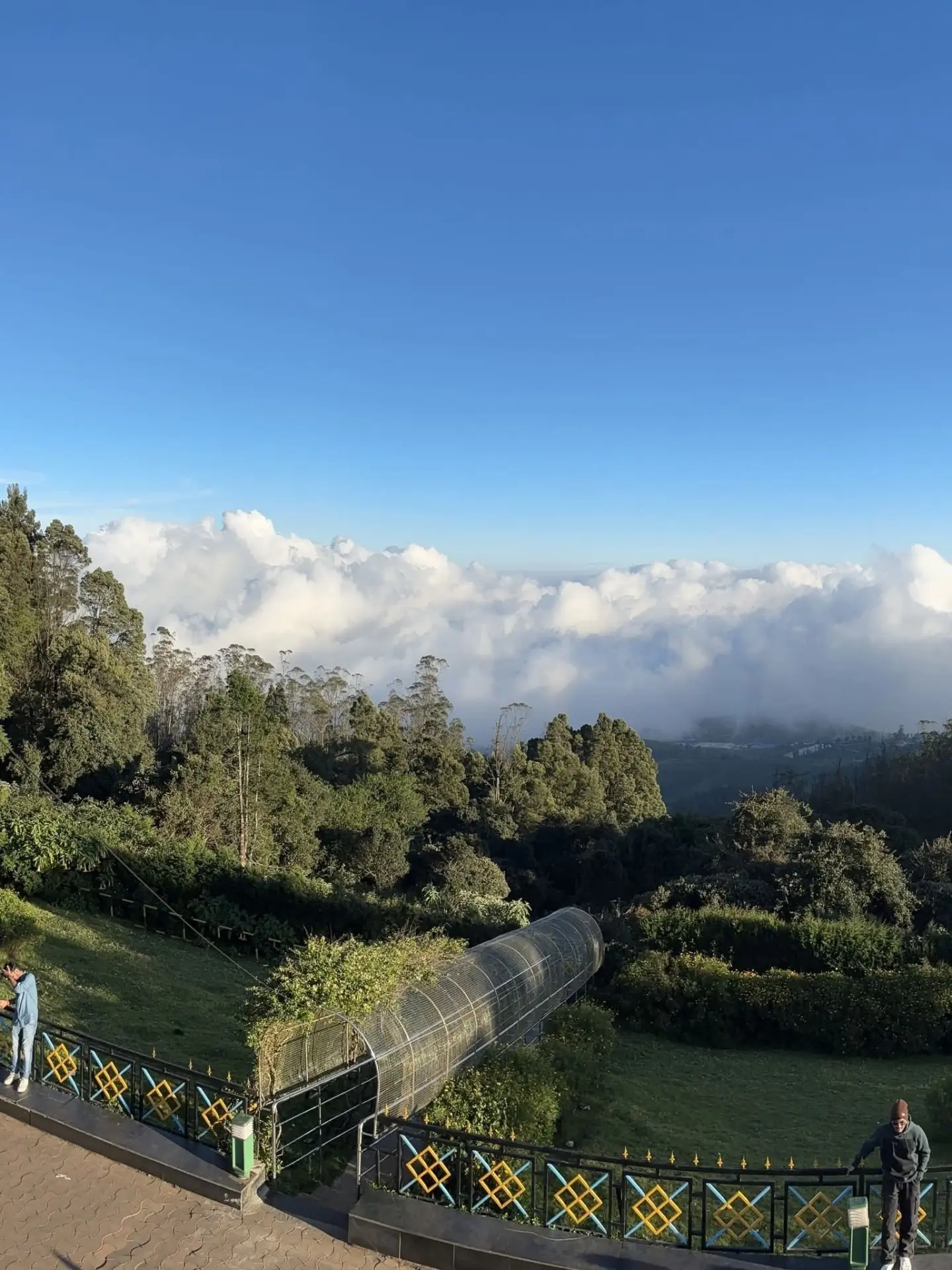 Ooty Full-Day Sightseeing