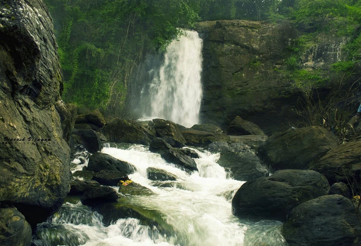 Wayanad Local Sightseeing